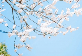 优秀的沙雕吃鸡网名--核能气质少年
