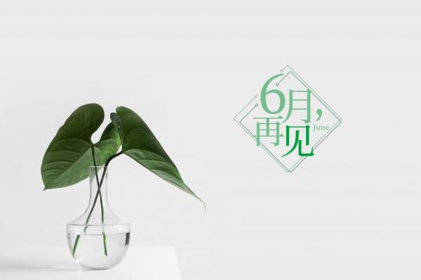 六一儿童节的恶搞说说 六一儿童节说说2018