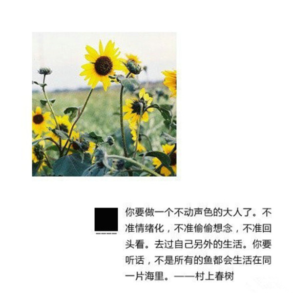 愚人节考试说说