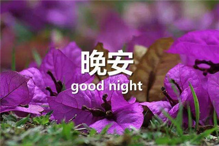 三月第一天早安心语说说