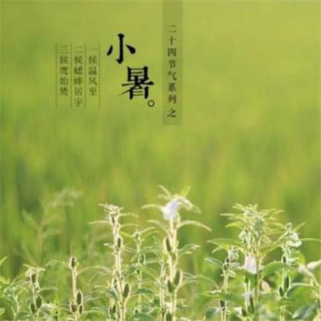 幽默表白3.7女生节祝福 女生节祝福套路