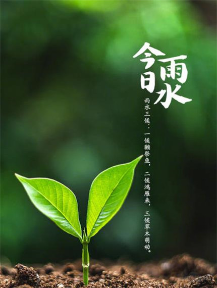 12月你好微信心情说说大全 12月第一天很开心的正能量句子