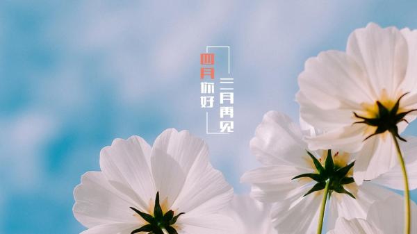 2019八月你好心情说说短语一句话