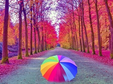 情人节七夕搞笑说说