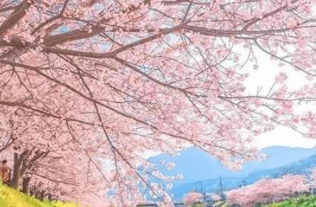 2022年除夕情人节和老公说说