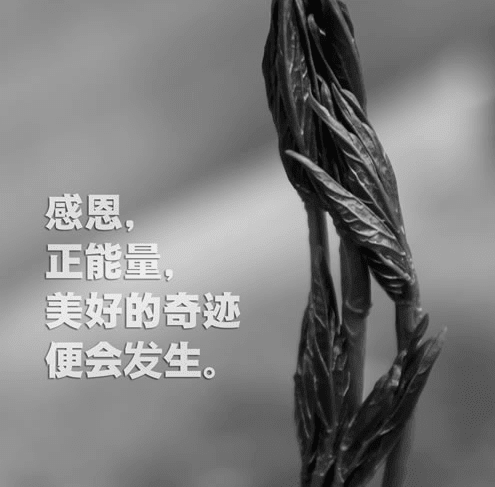 关于情感的唯美说说 唯美文字图片大全