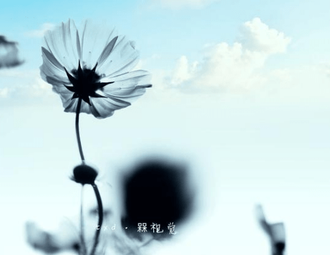 皮一点又蛮可爱的网名情侣