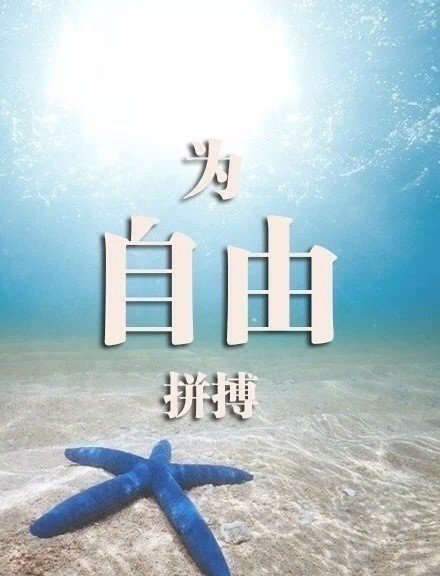 qq女生失恋伤感签名句子