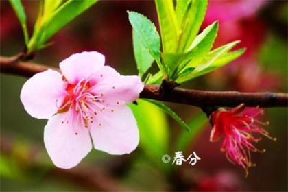 2021幸福的qq春节签名大全、心到
