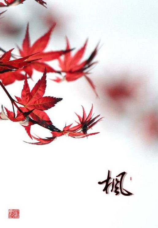微信朋友圈经典励志个性签名_如果你不喜欢我