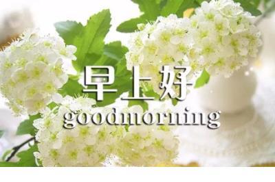 搞笑的短个性签名