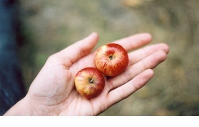 qq签名搞笑经典语句大集合、蹲在马路边