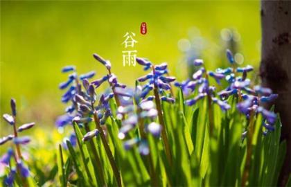 2021陌陌搞笑个性签名 伤害过我的人