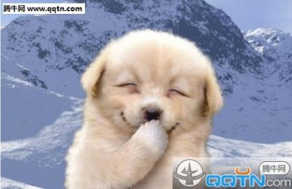 改写了很多人命运的个性签名