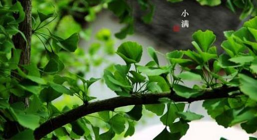 2021最励志的经典QQ个性签名